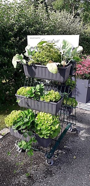 PIC - Stein Blumenkastenhalter 2 Set's, günstig online kaufen