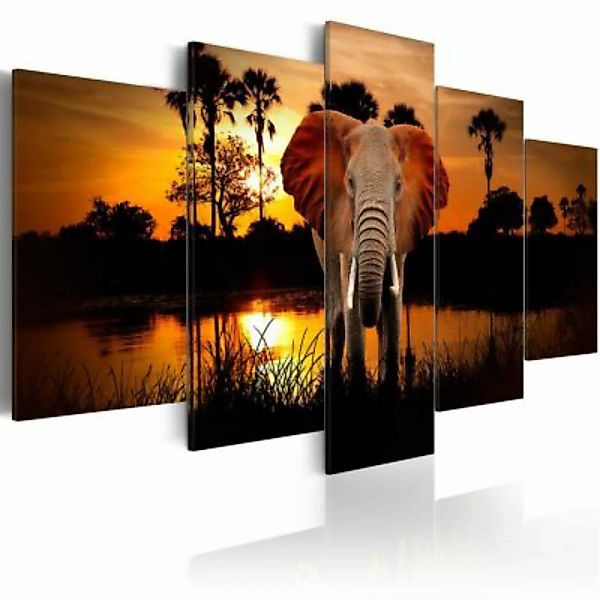 artgeist Wandbild Lake of the Setting Sun mehrfarbig Gr. 200 x 100 günstig online kaufen