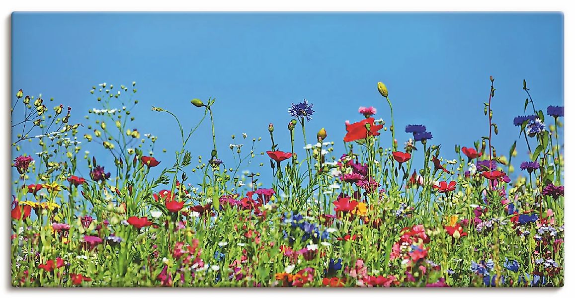 Artland "Blumenwiese II" Blumenwiese 1 Stk. tlg. auf Holzrahmen gespannt günstig online kaufen