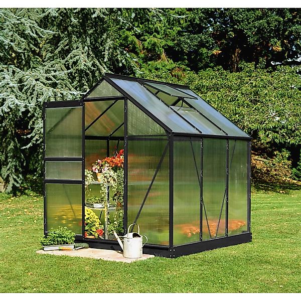 Halls Gewächshaus Popular 66 Schwarz 3,8 m² günstig online kaufen