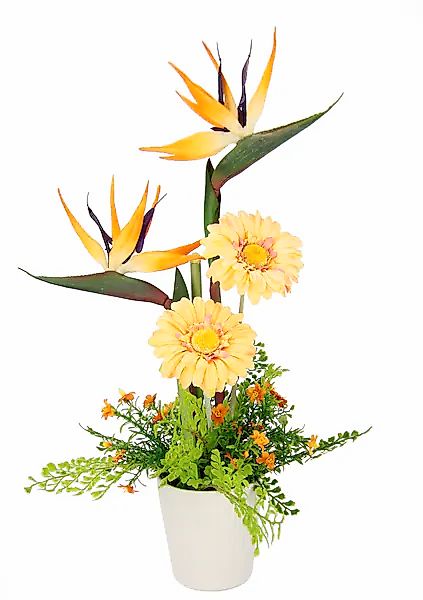 I.GE.A. Kunstblume »Arrangement Strelitzie/Gerbera«, Topf aus Keramik günstig online kaufen