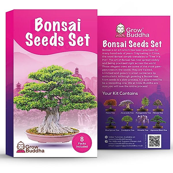 Kunstbonsai Samen-Set mit 8 verschiedenen Bonsai-Bäumchen, günstig online kaufen