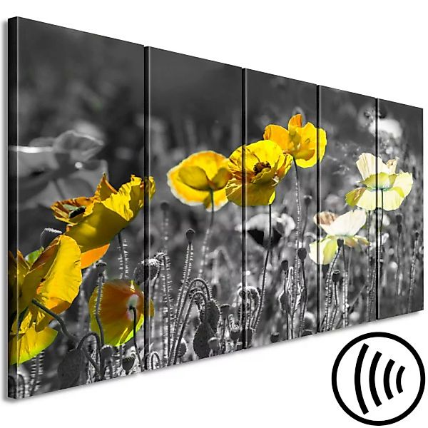 Bild auf Leinwand Gelbe Mohnblumen auf grauer Wiese - 5-teiliges Foto mit g günstig online kaufen