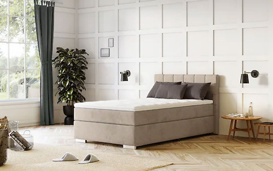 COTTA Boxspringbett »Simba« Topseller! wahlweise mit oder ohne Matratze und günstig online kaufen