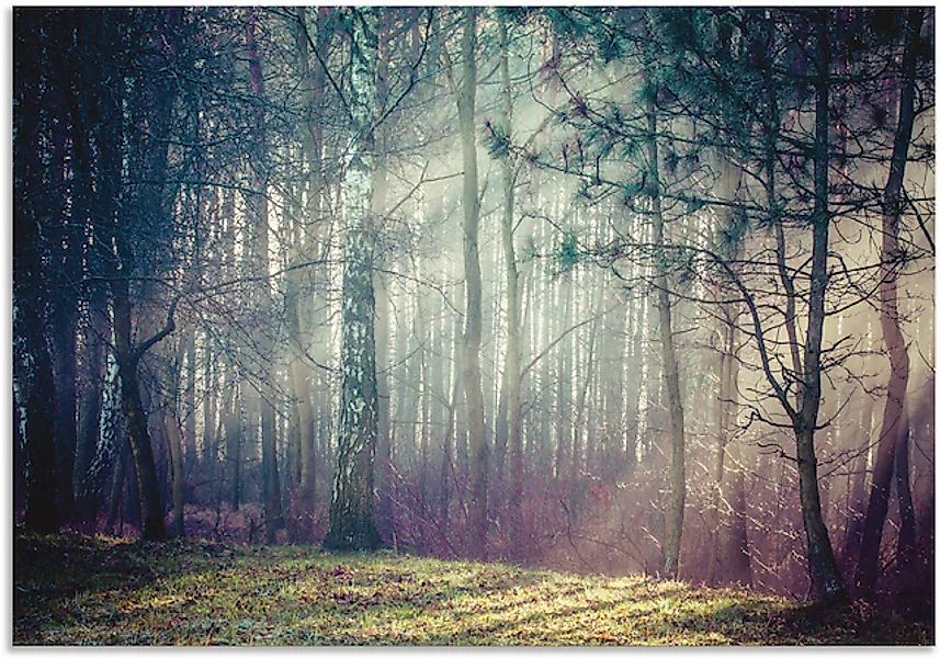 Artland Wandbild »Sonnenstrahlen im Wald« Waldbilder 1 Stk. tlg. als Alubil günstig online kaufen