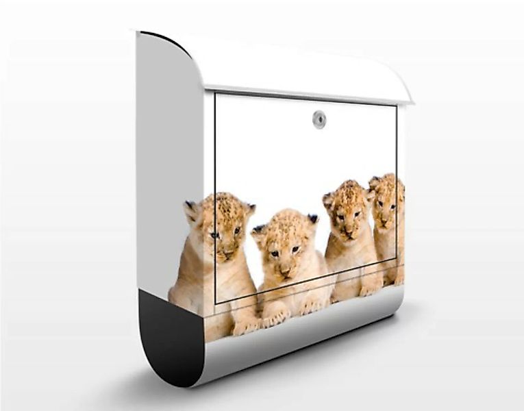 Briefkasten Tiere Sweet Lion Babys günstig online kaufen