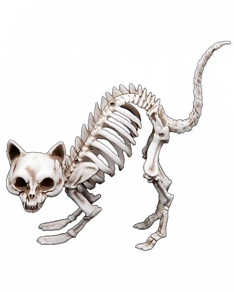 Horror-Shop Dekoobjekt Katzenskelett als Knochengerippe mit günstig online kaufen