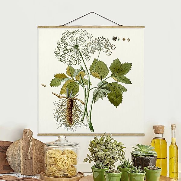 Stoffbild Blumen mit Posterleisten - Quadrat Wildkräuter Schautafel IV günstig online kaufen