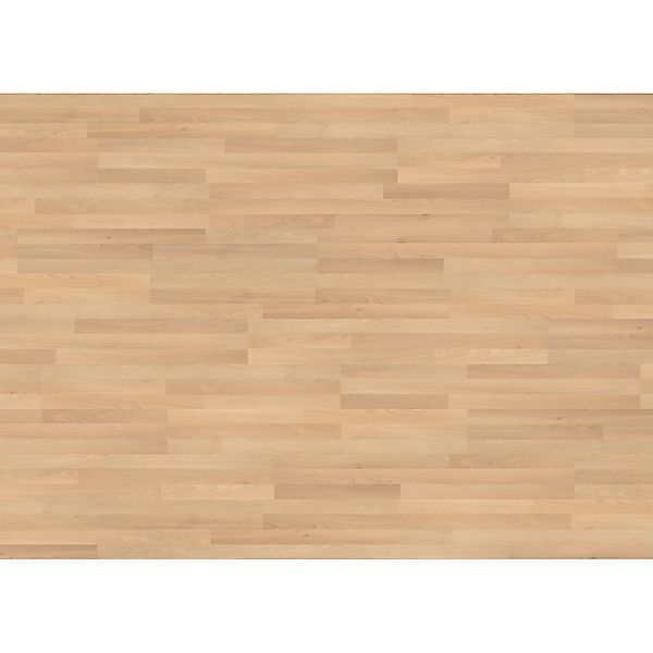 Living by Haro Laminat 7 mm Buche günstig online kaufen