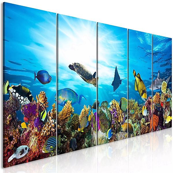 Wandbild - Coral Reef (5 Parts) Narrow günstig online kaufen