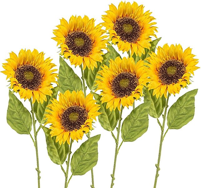 Kunstblume, Creativ green, Höhe 66 cm, günstig online kaufen