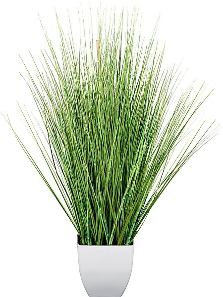 Kunstgras Grasbusch Gras, Creativ green, Höhe 77 cm, im weißen Topf günstig online kaufen