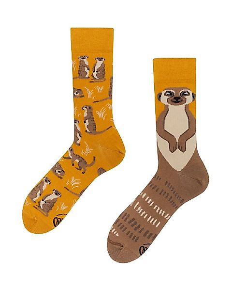 Many Mornings Freizeitsocken "THE MEERKAT" 39-42 günstig online kaufen