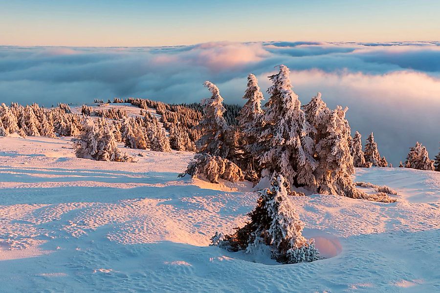 Papermoon Fototapete "Schneelandschaft" günstig online kaufen
