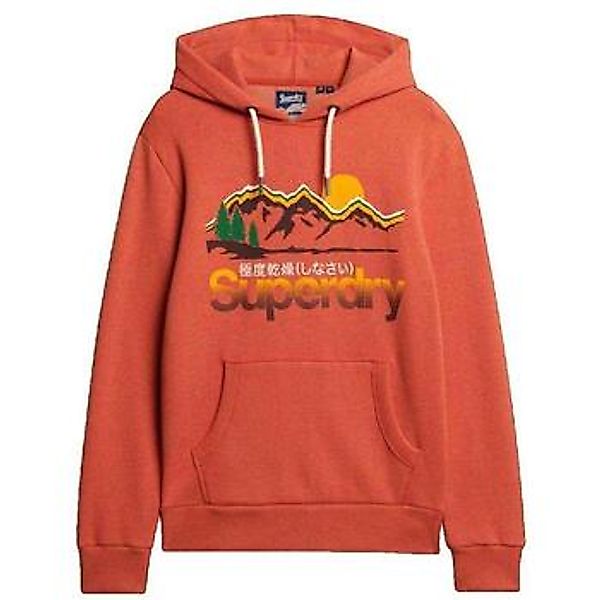 Superdry  Sweatshirt Sweat à capuche  Great Outdoors Graphic günstig online kaufen