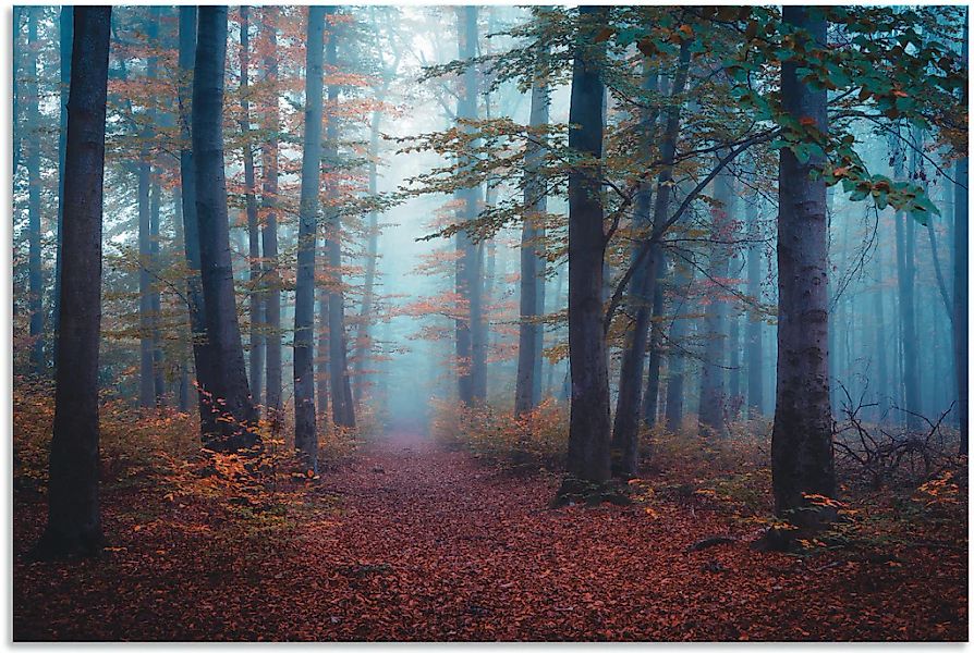 Artland Wandbild "Wald im Nebel", Waldbilder, (1 St.), als Alubild, Outdoor günstig online kaufen