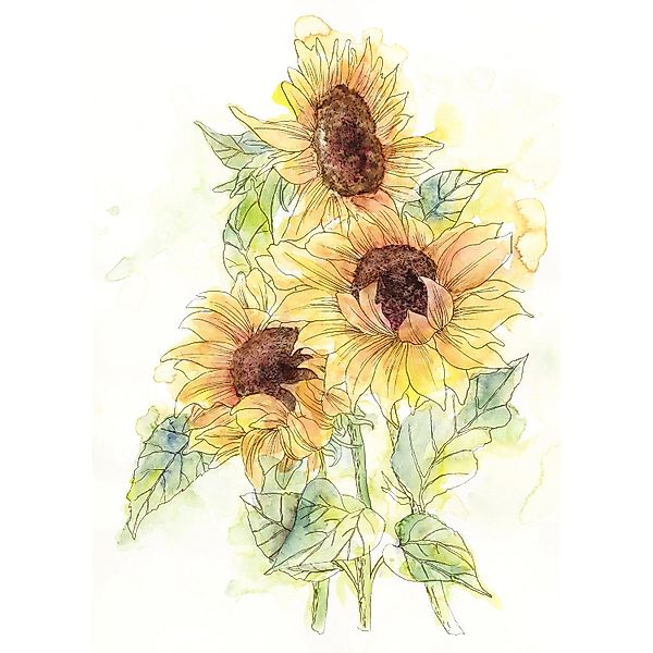 Komar Vliesfototapete Girasol 200 cm x 250 cm günstig online kaufen