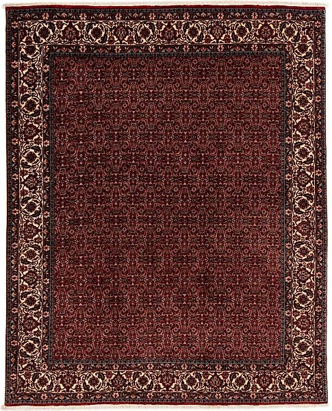 morgenland Orientteppich »Perser - Bidjar - 249 x 202 cm - dunkelrot«, rech günstig online kaufen