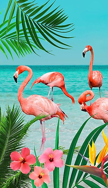 good morning Strandtuch Flamingo, Microfaser (1-St), günstig online kaufen