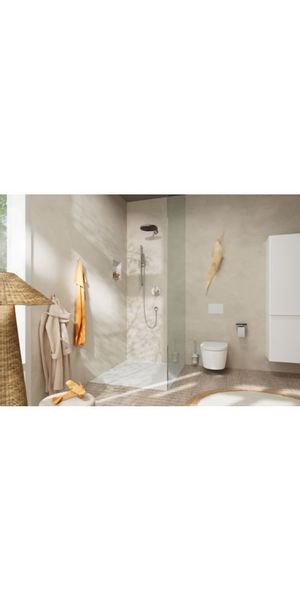 hansgrohe Toilettenpapierhalter günstig online kaufen