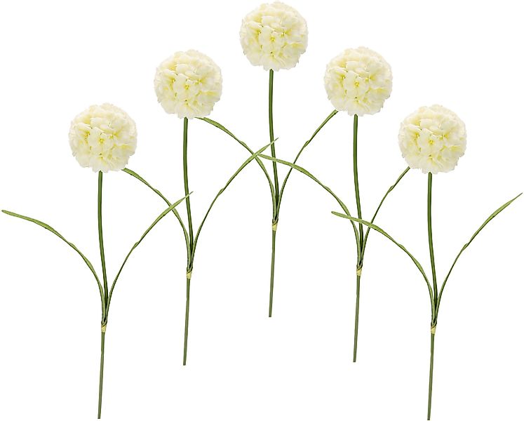 Kunstblume Allium, I.GE.A., Höhe 67 cm, günstig online kaufen