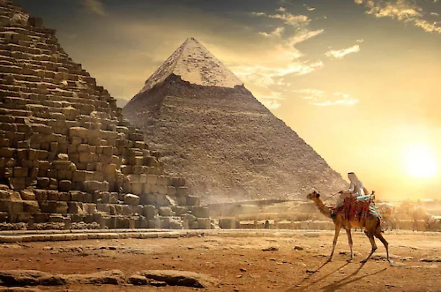 Papermoon Fototapete »Kamel vor Pyramiden« günstig online kaufen