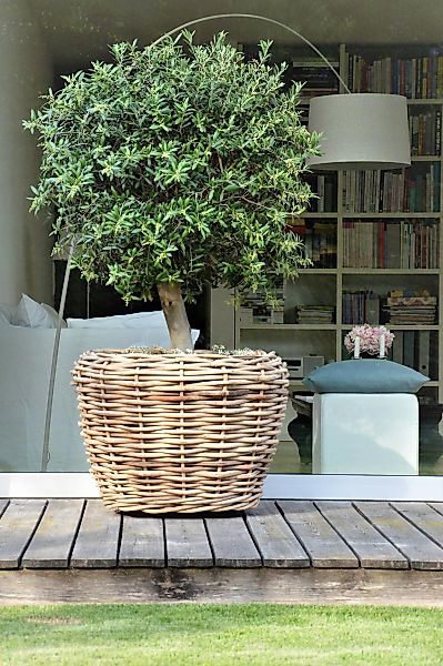 jankurtz Blumenkasten Pflanzenkorb Palau aus Naturrattan, günstig online kaufen