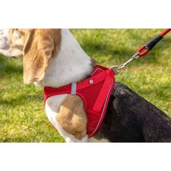 Curli Hunde-Geschirr Vest Geschirr Magnetic V2, günstig online kaufen