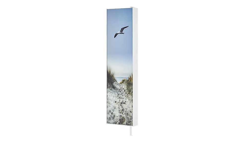 Mehrzweckschrank  Pictura ¦ blau ¦ Maße (cm): B: 48 H: 191 T: 20.0 Garderob günstig online kaufen