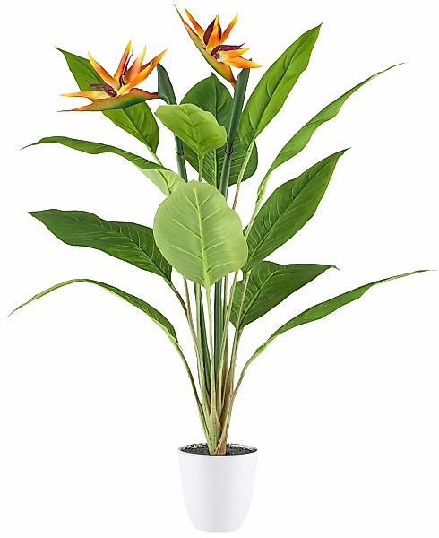 Creativ green Kunstpflanze "Strelitzia", mit 2 Blüten günstig online kaufen