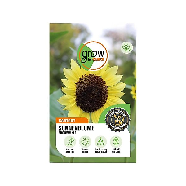 GROW by OBI Sonnenblumen Moonwalker günstig online kaufen