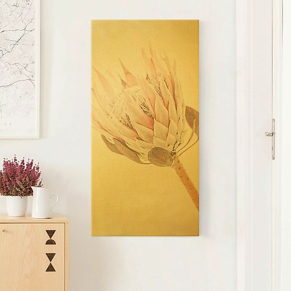 Leinwandbild Protea Königin der Blüten günstig online kaufen