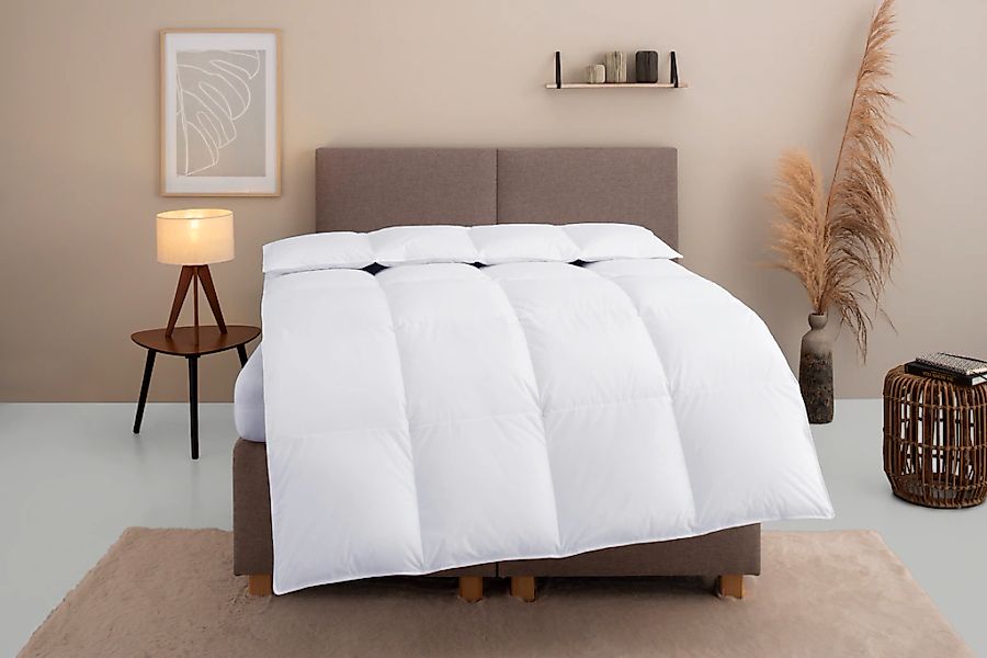 OTTO home Daunenbettdecke "Marseilles Bettdecke 135x200 cm und 155x220 cm" günstig online kaufen