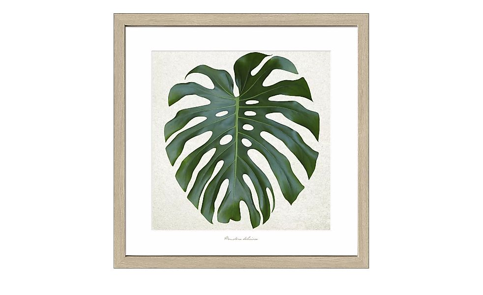 Green Leaf - 55 cm - 55 cm - Sconto günstig online kaufen