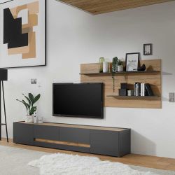 Schrankwand in Anthrazit und Wildeiche Optik modern (zweiteilig) günstig online kaufen