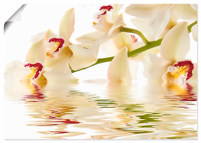 Artland Wandbild "Weiße Orchidee mit Wasserreflektion", Blumen, (1 St.), al günstig online kaufen