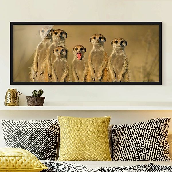 Bild mit Rahmen - Panorama Meerkat Family günstig online kaufen