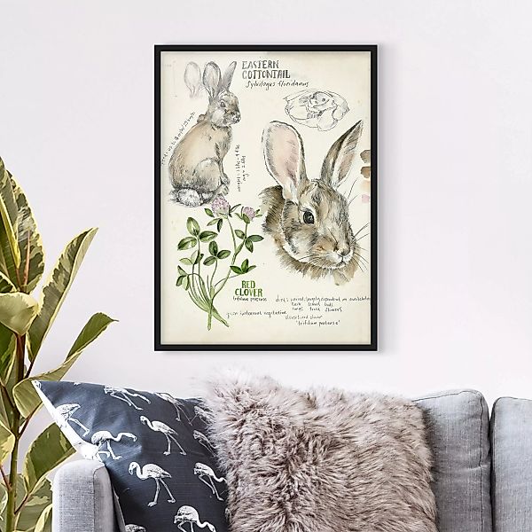 Bild mit Rahmen Tiere - Hochformat Wildnis Journal - Kaninchen günstig online kaufen