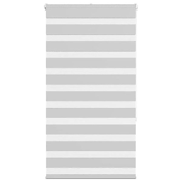 vidaXL Doppelrollo Hellgrau 70x150 cm Stoffbreite 65,9 cm Polyester 4014437 günstig online kaufen