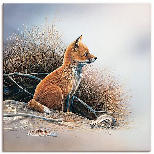 Artland Wandbild »Kleiner Fuchs«, Wildtiere, (1 St.), als Leinwandbild, Pos günstig online kaufen