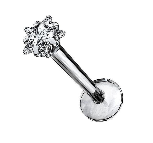 Taffstyle Piercing-Set Titan Lippenpiercing Ohr Stecker Kristall Stern Kopf günstig online kaufen