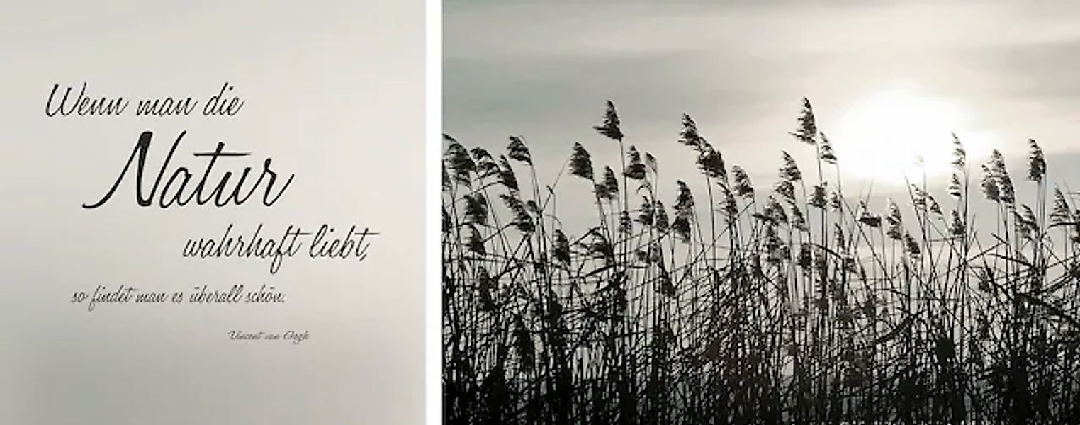 queence Leinwandbild »Natur« Blumenbilder   Gräser   Kunst   Modern   Schri günstig online kaufen