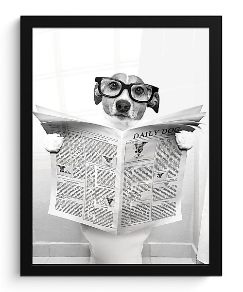MuchoWow Poster Hund - Zeitung - günstig online kaufen