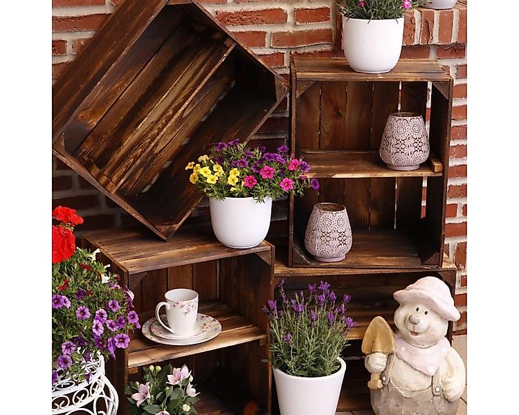 CHICCIE Holzkiste Kurzes Regal Dunkel Geflammt 50x40x30cm - Kisten Box (3 S günstig online kaufen