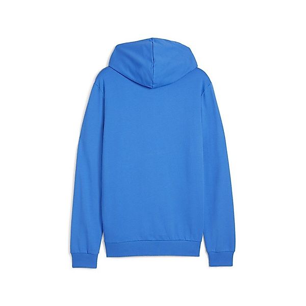 PUMA Kapuzenpullover Herren teamGOAL Casuals Hoody günstig online kaufen