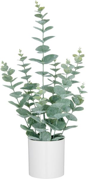 Creativ green Kunstpflanze "Eukalyptus" mit üppigem Blattwerk günstig online kaufen