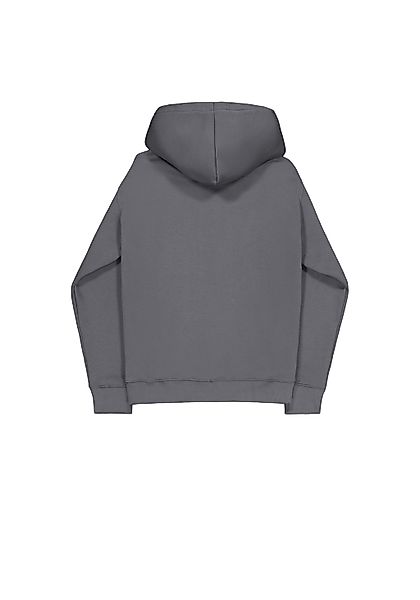 Alpha Industries Hoodie "Basic Hoodie BL" günstig online kaufen