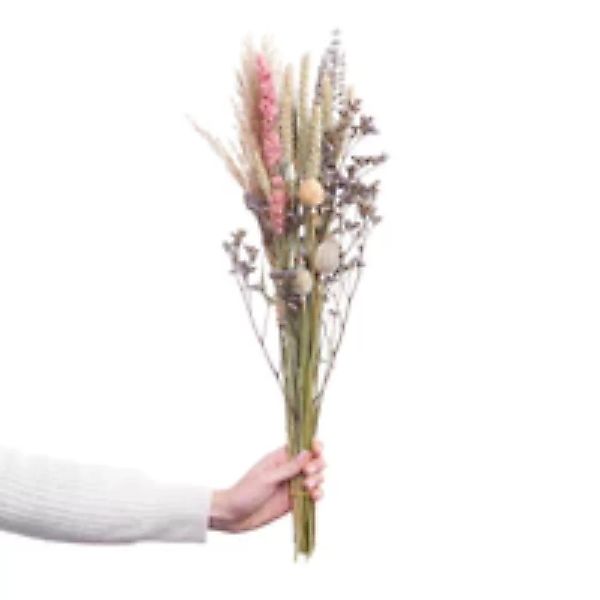 FLOWER MARKET Trockenblumen Blumenstrauß günstig online kaufen