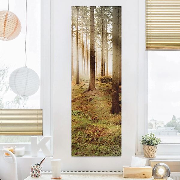 Leinwandbild Wald - Hochformat Morning Forest günstig online kaufen