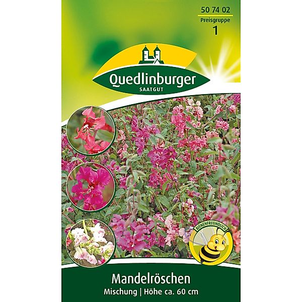 Quedlinburger Mandelröschen ''Mischung'' günstig online kaufen